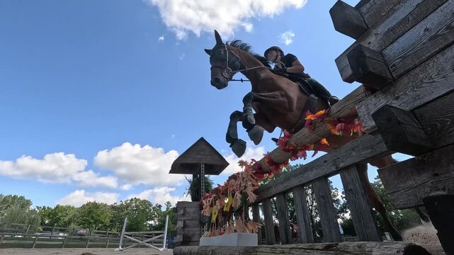 A horse jumps over a decorated fence in an outdoor arena. Filmed in slow motion.