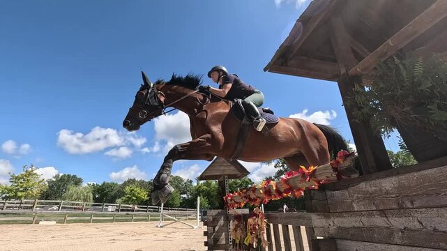A horse jumps over a decorative obstacle in an outdoor horse arena in slow motion.