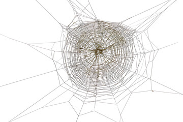 Fototapeta premium Intensely Dense and Swirling Spiderweb Center with Radiant Outer Threads Isolated on a Pure White Background - Nature's Art