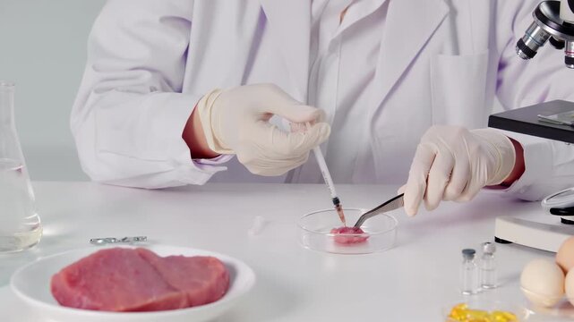 Scientist biologist nutrition expert injecting chemical liquid in raw meat sample by syringe for experimental testing focuses on GMO research, inspection fresh ingredients, nutrition research, science