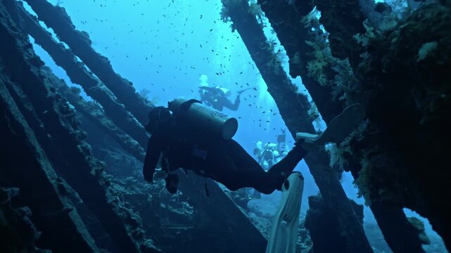In this underwater scene, a group of scuba divers penetrates the interior of the SS Carnatic, the elegant 1869 British steamship wreck lying on her port side at 22&ndash;27 meters.