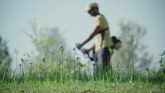 Low angle shot of landscaper using string trimmer cutting grass in sunny field environment