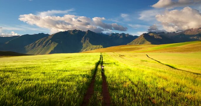 Female tourist runs on track through tall grass meadow in Sacred Valley. Aerial