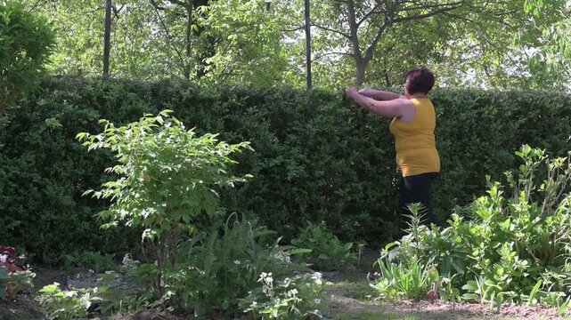 A woman cuts a boxwood hedge with small scissors.