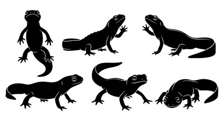 Naklejka premium Set of Black Silhouettes of Salamanders in Various Poses on White Background