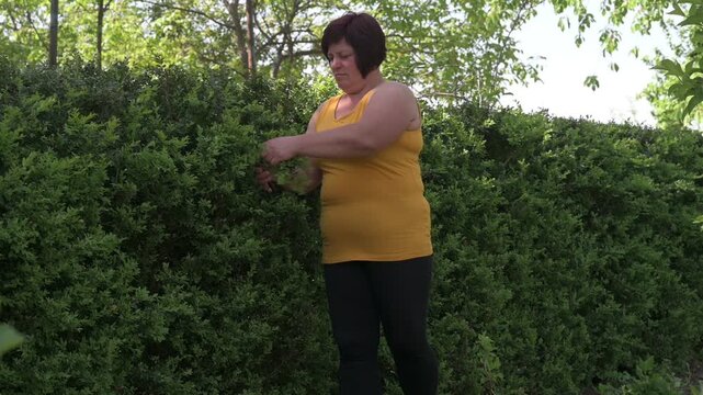 A woman cuts a boxwood hedge with small scissors.