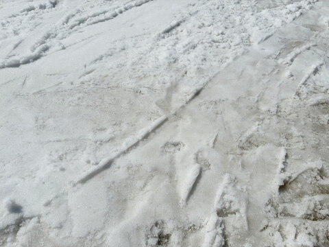 春スキーのゲレンデの雪面 踏み固められた湿った雪の質感