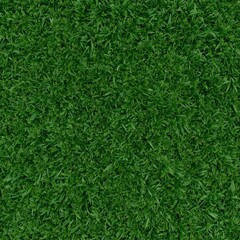 Green grass texture background, natural seamless pattern