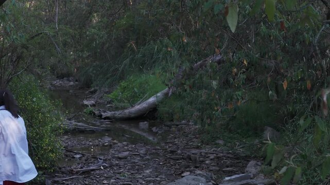 A young girl walks beside rocks and a serene stream under the soft twilight in Warrandyte Park, Melbourne. The tranquil scene captures the essence of evening calmness and nature's beauty.