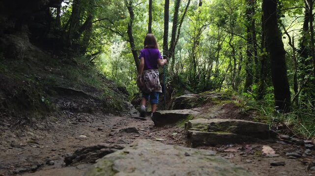 Young girl trekking through a lush green forest on a rocky trail with a walking stick. Healthy kid enjoying an outdoor adventure and exploring the beautiful natural scenery of Catalunya, Spain