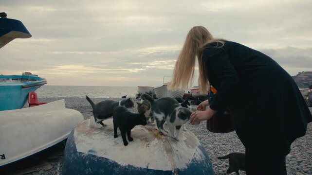 A woman feeds stray cats gathered on an overturned fishing boat at a quiet beach near sunset