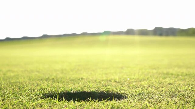 Close up of a moment when a ball being hitted into a hole by a golf club, on a field grass on beautiful luxury resort golf club on a sunny summer dayduring the course