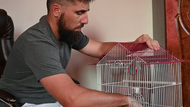 A man with a beard pulled out a parrot from a cage and holds it in his hands, playing with it, a small blue budgie in the hands of a man.
