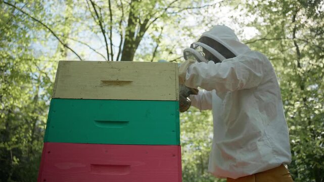 A beekeeper wearing full protective gear places a yellow super onto a stack of green and red hive boxes in a forest. The footage shows routine hive management and expansion. Low angle shot.