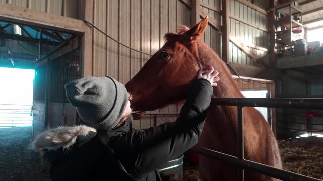 Petting a horse in a sunny and rustic barn.