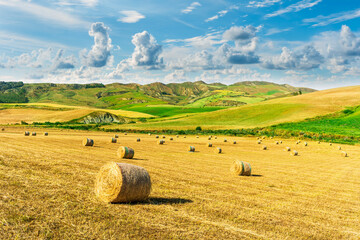 Fototapeta premium beautiful agricultural landscape of a golden shiny fielf of summer farmland with amazing hay stacks and scenic green hills and mountains on background