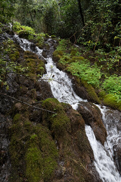 Cascate Varone mossy waterfall in forest with natural light and flowing water over rocks in lush parco grotta Trentino Italy