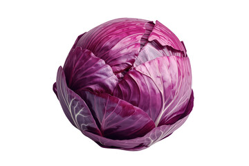 Obraz premium Whole red cabbage, fresh healthy vegetable, organic produce for cooking and vegan diet on transparent background