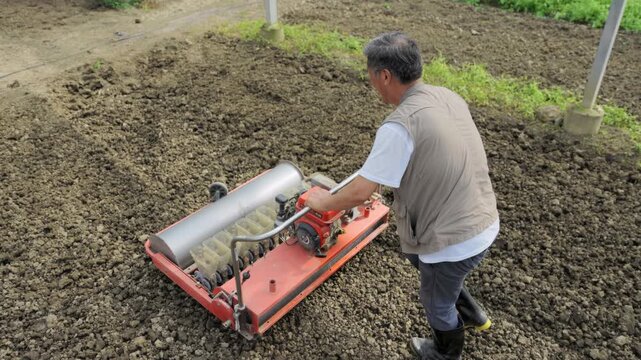Botanist agronomist innovative senior agriculturalist male farmer riding, operating machinery cultivating the land or seeder in hothouse greenhouse while working in a fruit nursery organic vegetables