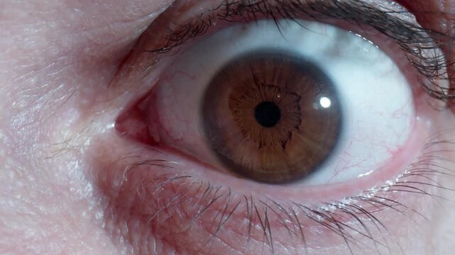Detailed macro view of a brown iris and dilated pupil reacting to light or information. The human eye remains wide open and fixed, conveying intense concentration or shock. Static shot.