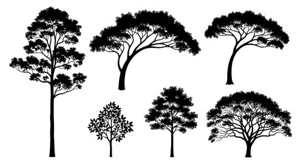 Fototapeta premium Diverse Tree Silhouettes Collection