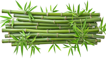 Fototapeta premium bamboo stalks with green leaves isolated on a transparent background