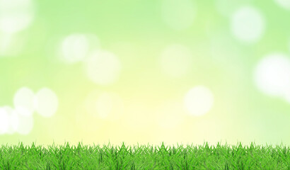 Obraz premium Lush spring grass against blurred green background with bokeh lights. Banner design