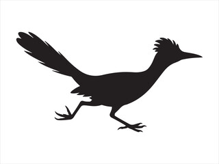 Fototapeta premium Roadrunner bird logo vector icon, Silhouette of Roadrunner Bird Running, Wildlife Animal Vector Illustration