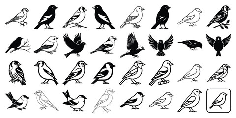 Goldfinch Collection of Various Bird Silhouette Icons Set in Black and White Vector Style © Shohag