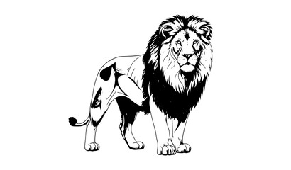 Lion vector illustration realistic wild animal with detailed mane isolated on white background © MD HAJIRUDDIN