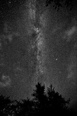 Fototapeta premium Night sky, nature and stars in universe, milky way and wallpaper with texture, galaxy and cosmic energy. Empty, outer space and astronomy with dark matter, science or astrology with constellation