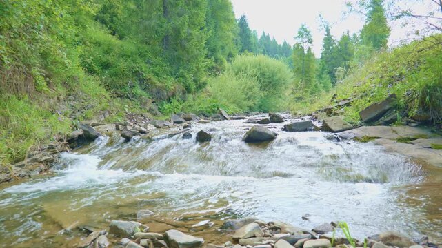 Mountain Stream in Slovakia Forest