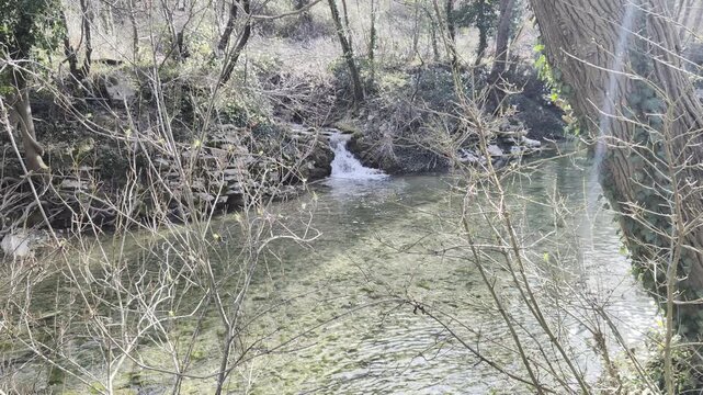 ruscello di montagna con una piccola cascata che scorre tra rocce e vegetazione in primavera, atmosfera naturale e rilassante