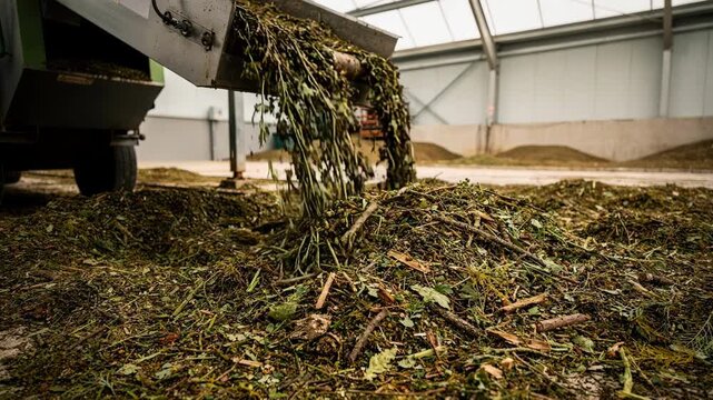 Medium shot showing the mulching process in a botanical waste valorization facility with shredded plant material being spread as organic ground cover.