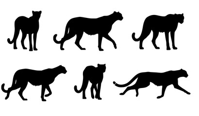 Obraz premium Cheetah silhouette set vector illustration multiple poses wild animal design