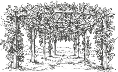 Fototapeta premium Hand drawn grapevine pergola with flowers, hanging grape clusters, and detailed foliage illustration