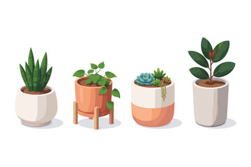Fototapeta premium Collection of four potted houseplants in modern planters, isolated on white background