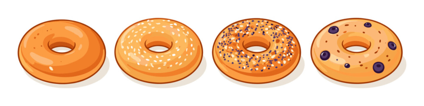 Four different types of bagels displayed in a row, each with unique toppings