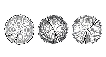 Tree Ring Cross Sections - Wood Grain Patterns © nad