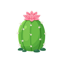 Cute blooming green cactus plant with pink flower in flat design style isolated on white background for desert nature theme garden decor and stickers. © QM