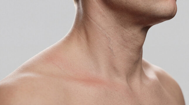 Human Neck Muscles GCS and Collarbone