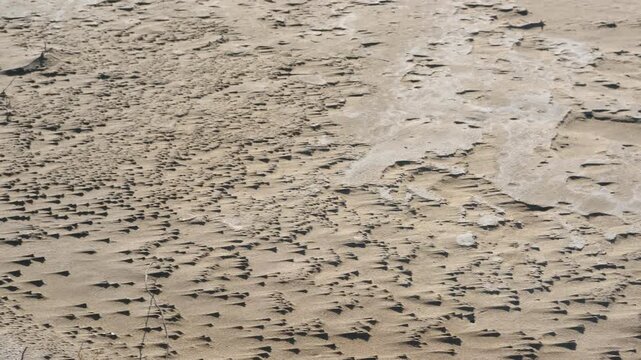 Wind eroding sandy soil surface creating yardangs. Macro top-down view of aeolian processes on a dry, sandy surface, where the wind is actively eroding the soil, forming small linear ridges