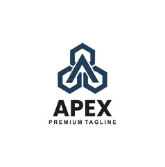 Fototapeta premium Professional modern triangle hexagon geometric logo design for corporate brand.