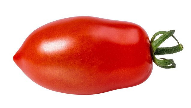 Isolated vibrant red ripe plum tomato with green calyx and stem, fresh organic vegetable