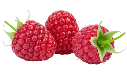 Isolated fresh ripe red raspberries, healthy sweet summer berry fruit snack closeup © Joao