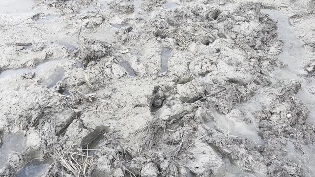Close-up of wet and sticky mud texture in an agricultural field