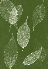 Green cyanotype botanical composition with leaves on textured paper