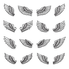 Obraz premium Collection of Hand Drawn Angel Wings Set Vector Illustration