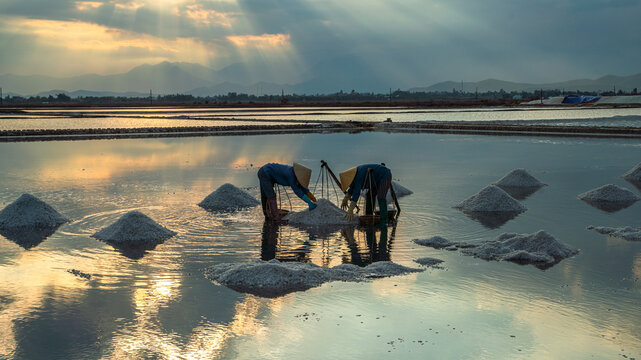 Salt harvesting by traditional farmers at Hon Khoi salt fields, Nha Trang, Vietnam