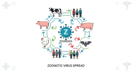 Naklejka premium Zoonotic Virus Spread Diagram showing Transmission from Animals like Pig, Cow, Chicken, Bat to Humans isolated PNG with Transparent Background